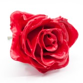 Voorbeeld van een gewaxte roos